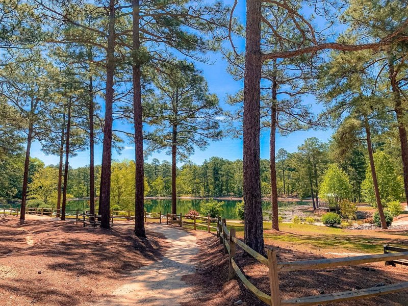 Sycamore Lodge Resort